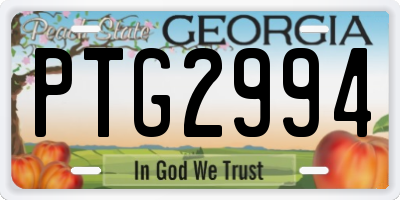 GA license plate PTG2994