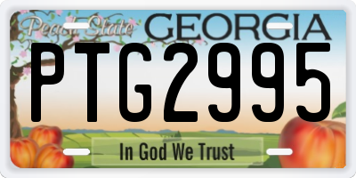 GA license plate PTG2995