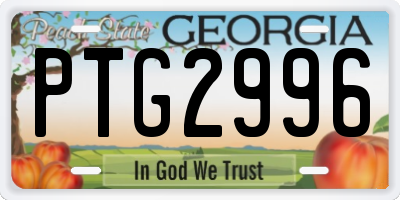 GA license plate PTG2996
