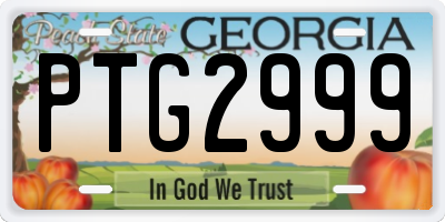 GA license plate PTG2999