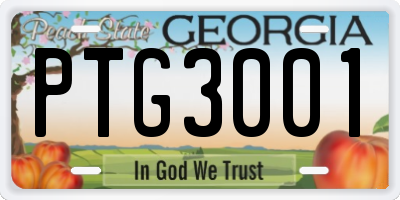 GA license plate PTG3001