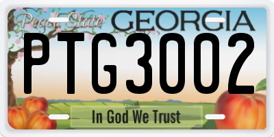 GA license plate PTG3002
