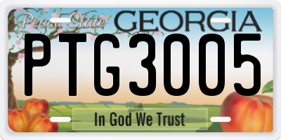 GA license plate PTG3005