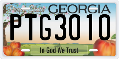 GA license plate PTG3010