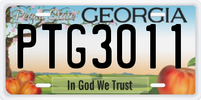 GA license plate PTG3011