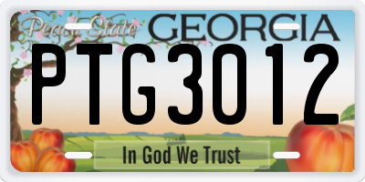 GA license plate PTG3012