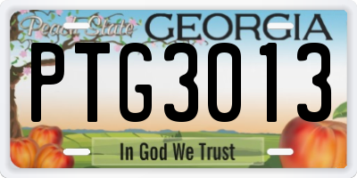 GA license plate PTG3013