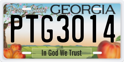 GA license plate PTG3014