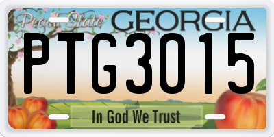 GA license plate PTG3015