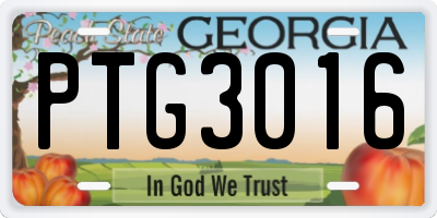 GA license plate PTG3016