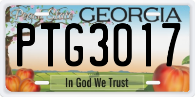 GA license plate PTG3017