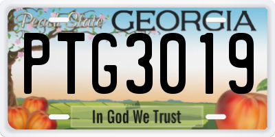 GA license plate PTG3019