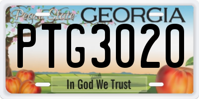 GA license plate PTG3020