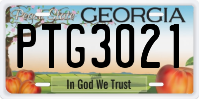 GA license plate PTG3021