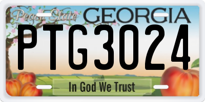 GA license plate PTG3024