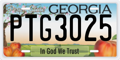 GA license plate PTG3025