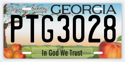 GA license plate PTG3028