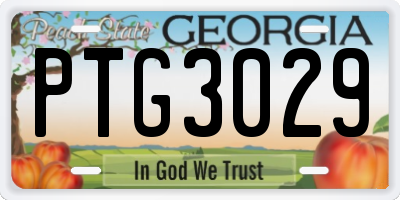 GA license plate PTG3029