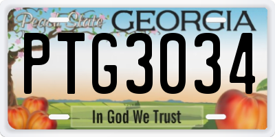 GA license plate PTG3034