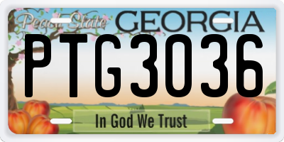 GA license plate PTG3036