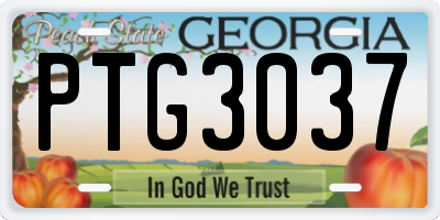 GA license plate PTG3037