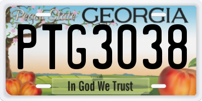 GA license plate PTG3038