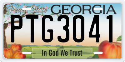 GA license plate PTG3041