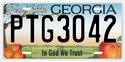 GA license plate PTG3042