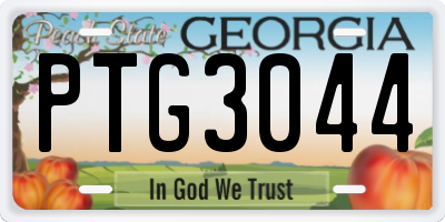 GA license plate PTG3044