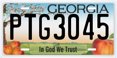 GA license plate PTG3045