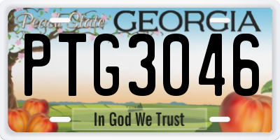 GA license plate PTG3046