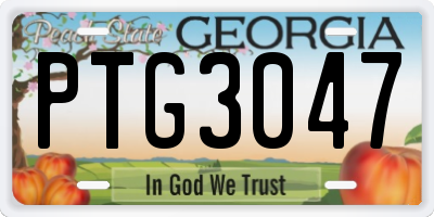 GA license plate PTG3047