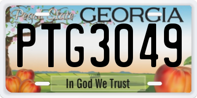 GA license plate PTG3049