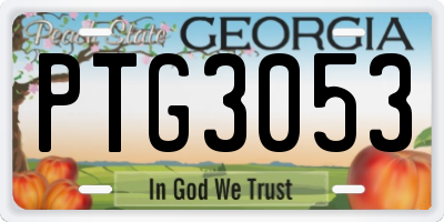 GA license plate PTG3053