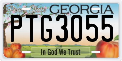 GA license plate PTG3055