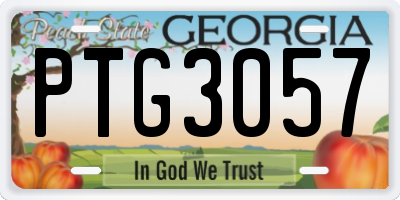 GA license plate PTG3057