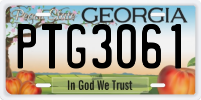GA license plate PTG3061