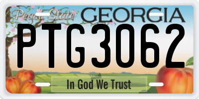 GA license plate PTG3062