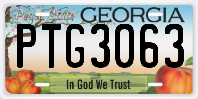 GA license plate PTG3063
