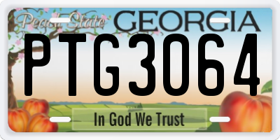 GA license plate PTG3064