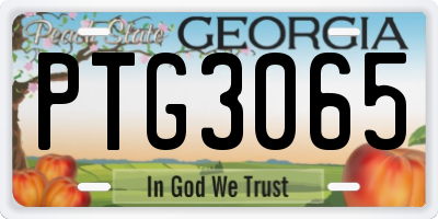 GA license plate PTG3065