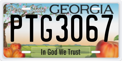 GA license plate PTG3067