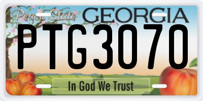 GA license plate PTG3070