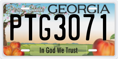 GA license plate PTG3071