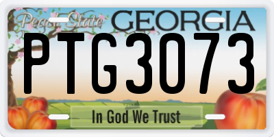 GA license plate PTG3073