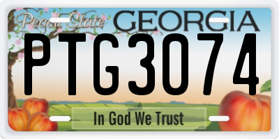 GA license plate PTG3074