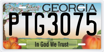 GA license plate PTG3075