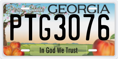 GA license plate PTG3076