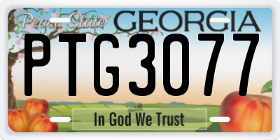 GA license plate PTG3077