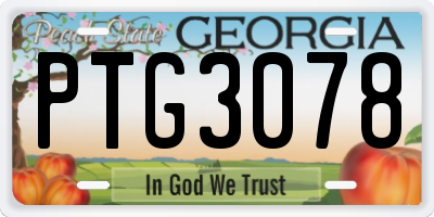 GA license plate PTG3078